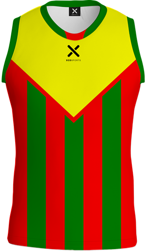 AFL Jersey 018 AFL Jersey. (x 45)